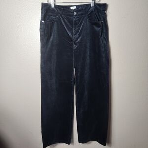 J. Jill Black Velveteen High Rise Straight Leg 5 Pocket Pants-Size 16 (NWOT)